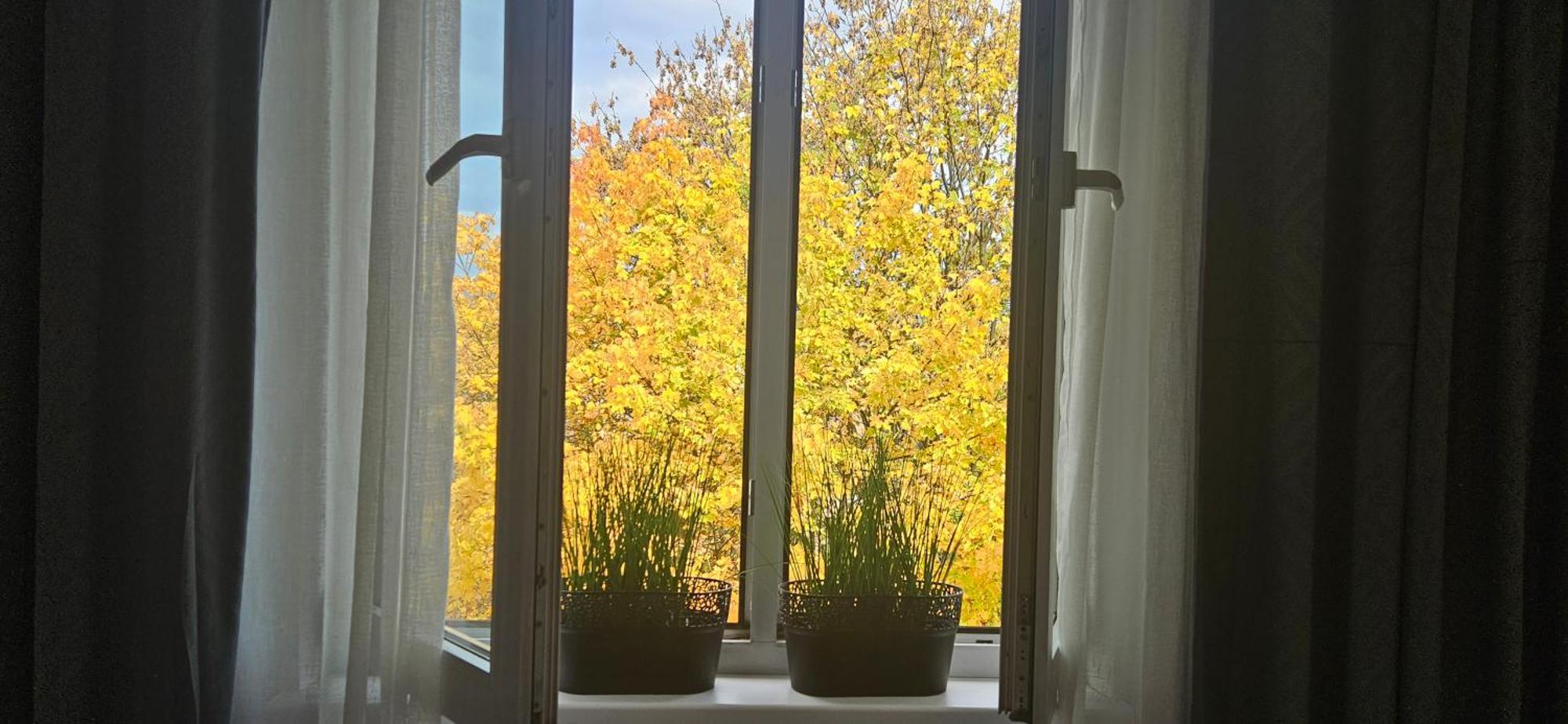 Apartament Diselvio Nowy Targ Eksteriør billede